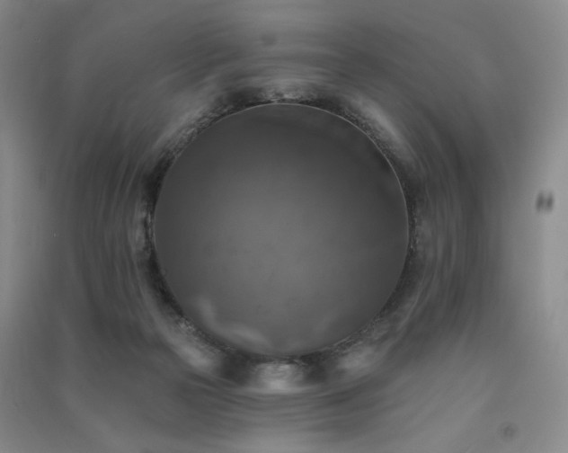 X0000091510169200708171203