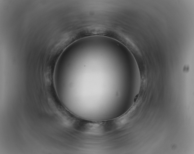 X0000091510170200708171203
