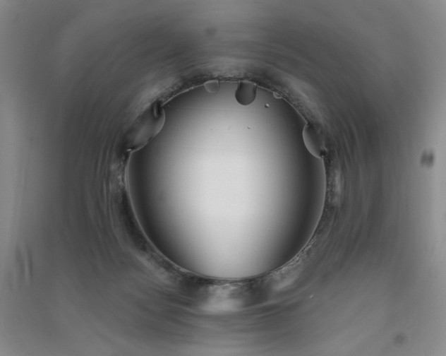 X0000091510172200708171203