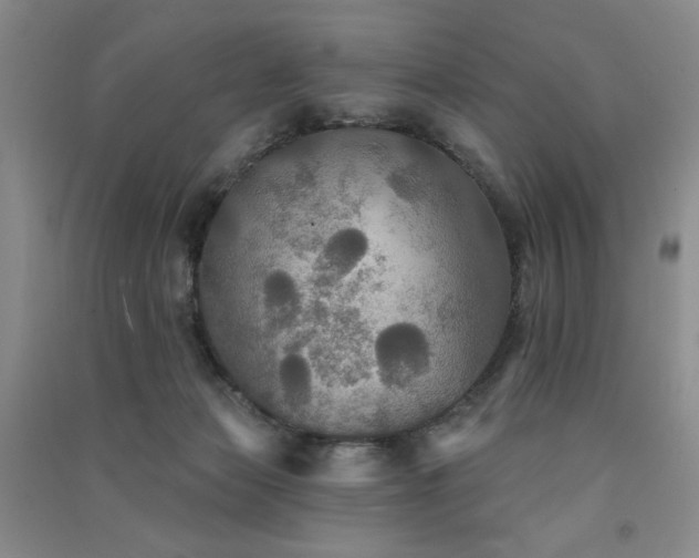 X0000091510173200708171203