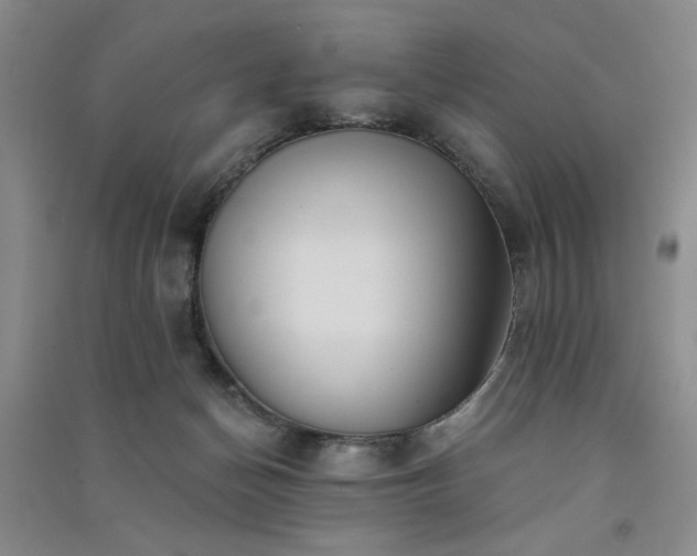 X0000091510174200708171203