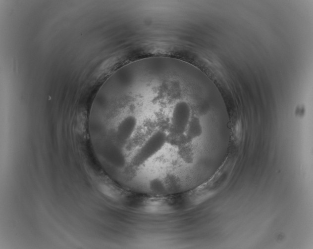 X0000091510175200708171203