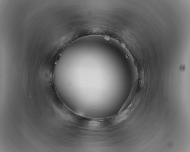 X0000091510176200708171203