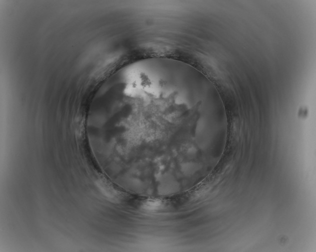 X0000091510177200708171203