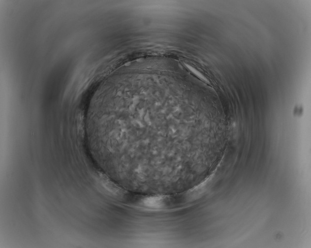 X0000091510178200708171203
