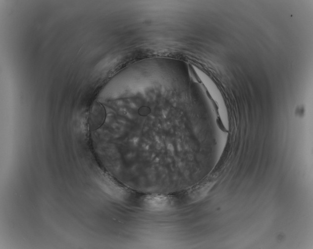 X0000091510181200708171203