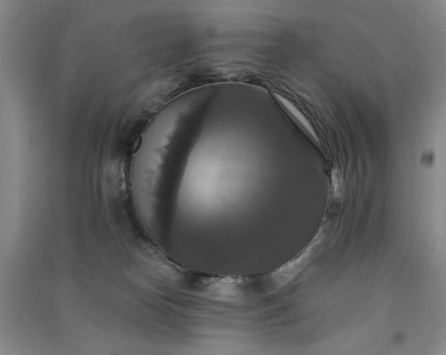 X0000091510182200708171203