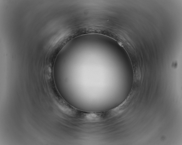 X0000091510183200708171203