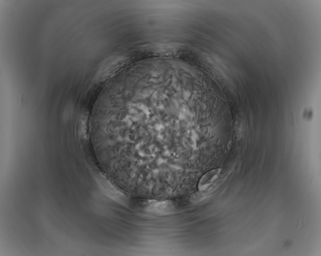 X0000091510185200708171203