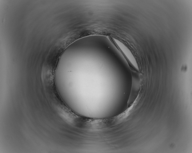 X0000091510186200708171203