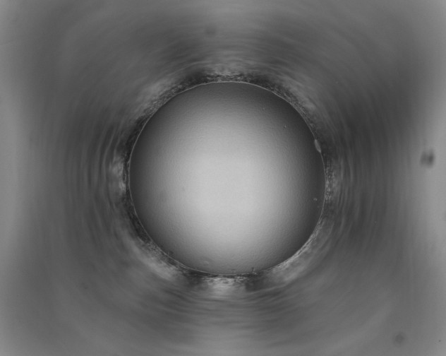 X0000091510187200708171203