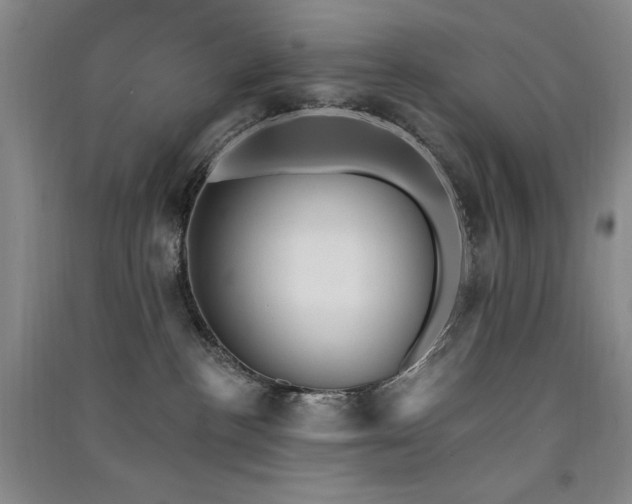 X0000091510188200708171203