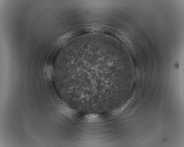 X0000091510189200708171203