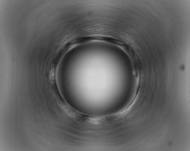 X0000091510190200708171203