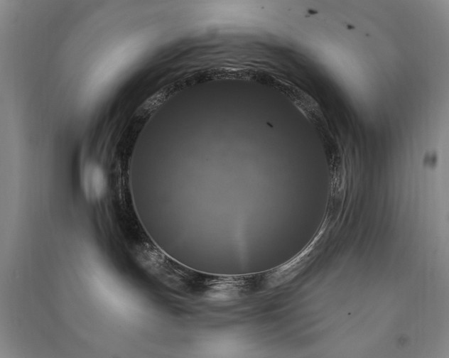 X0000091510191200708171203