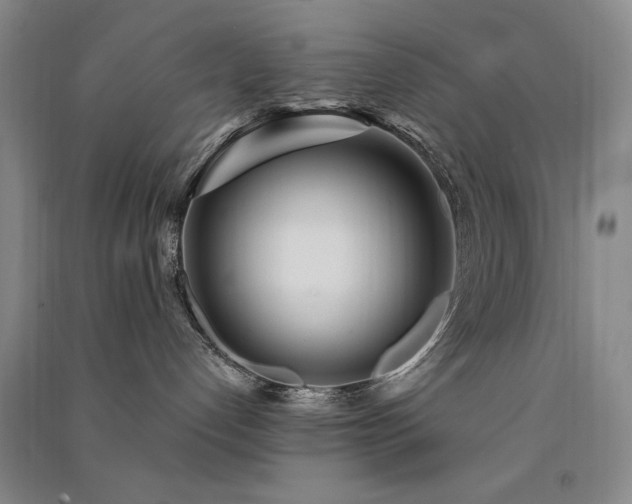 X0000091510192200708171203