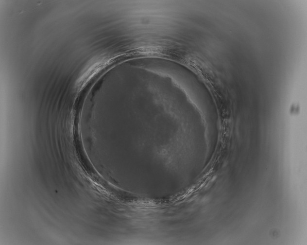 X0000091510194200708171203