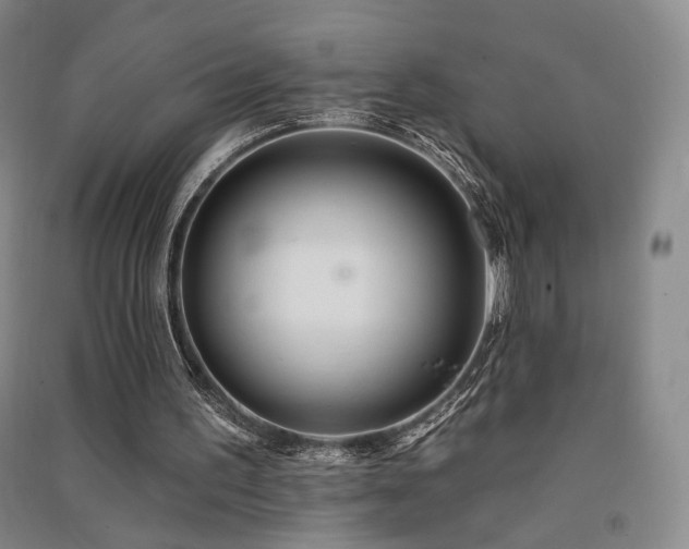 X0000091510195200708171203