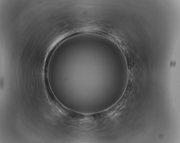 X0000091510196200708171202