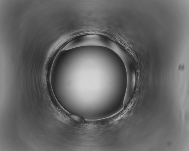 X0000091510197200708171202