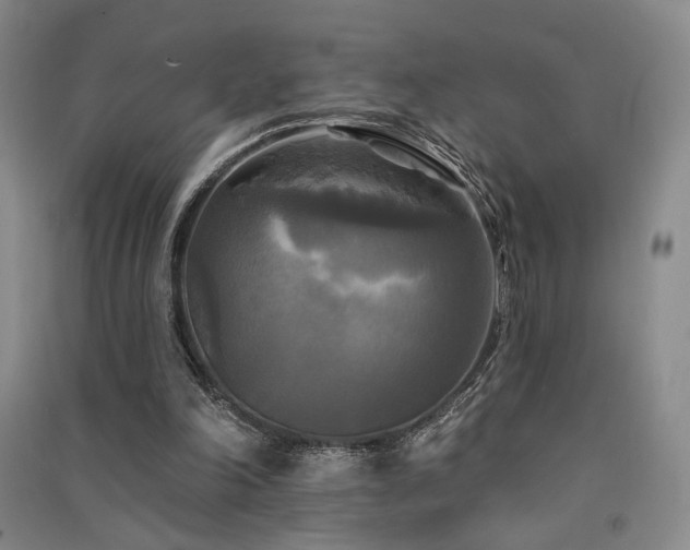 X0000091510198200708171202