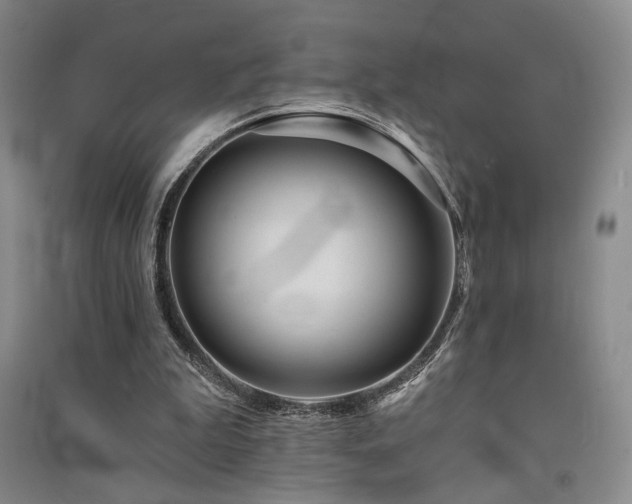 X0000091510199200708171202