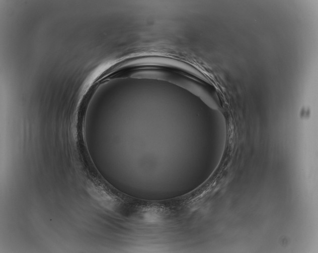 X0000091510200200708171202