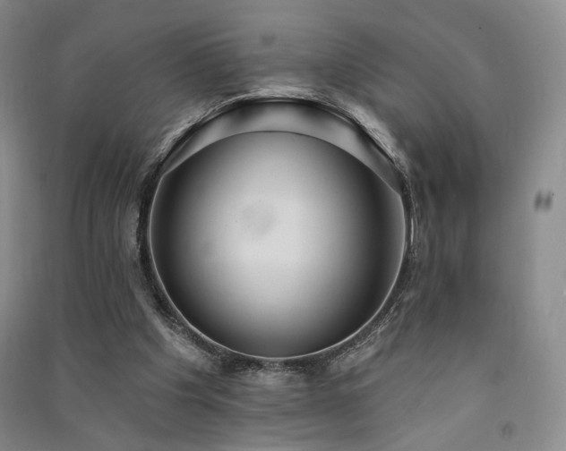 X0000091510201200708171202