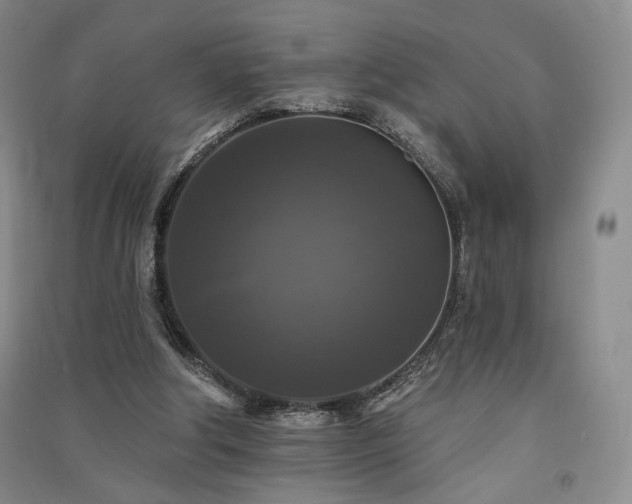X0000091510202200708171202