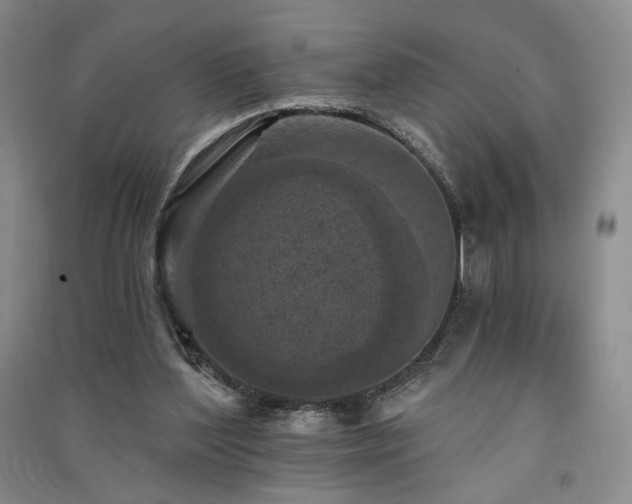 X0000091510204200708171202