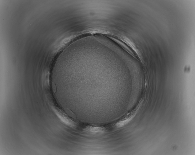 X0000091510205200708171202