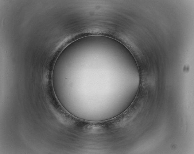 X0000091510208200708171202