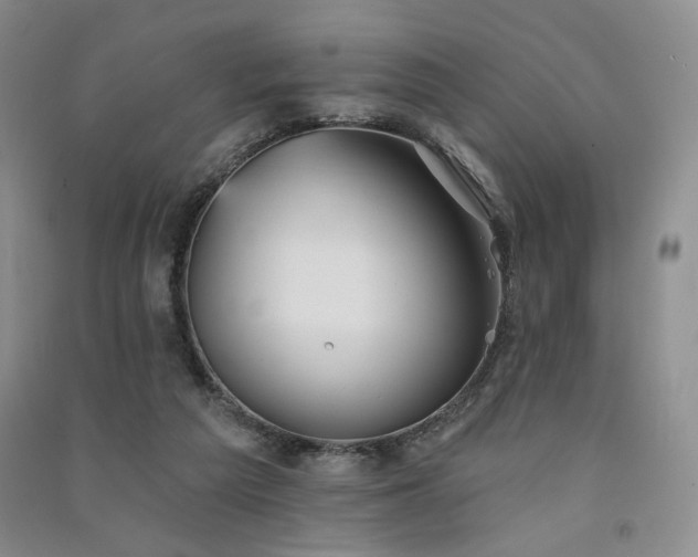 X0000091510209200708171202