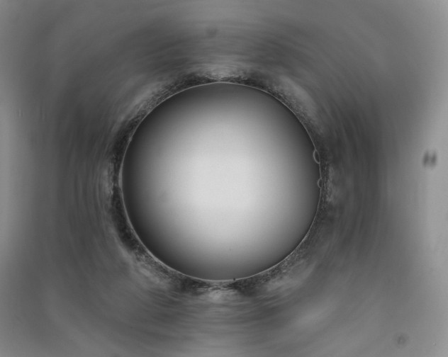 X0000091510210200708171202