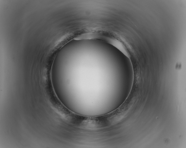 X0000091510211200708171202