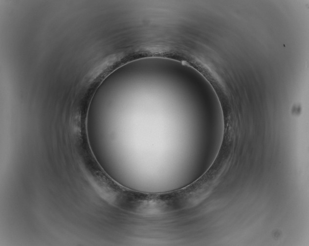 X0000091510212200708171202