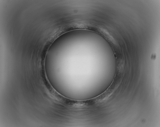 X0000091510213200708171202