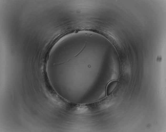 X0000091510214200708171202