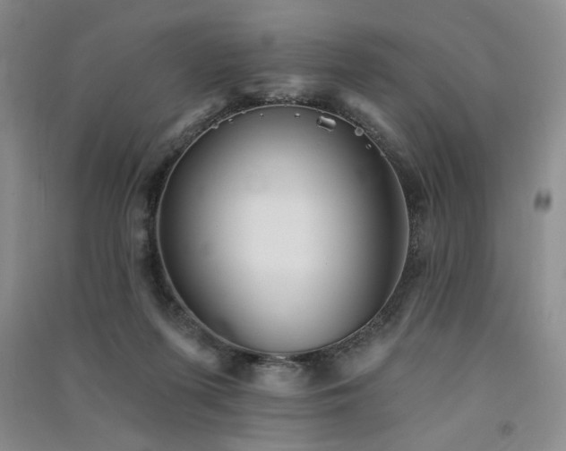 X0000091510215200708171202