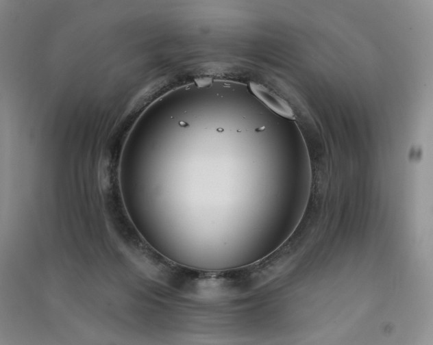 X0000091510216200708171202