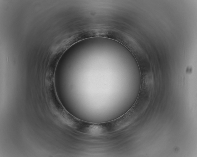 X0000091510218200708171202
