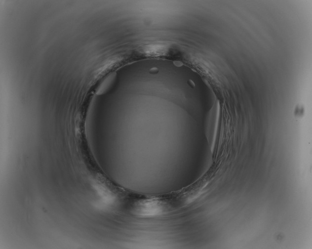 X0000091510219200708171202