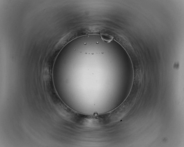 X0000091510220200708171202