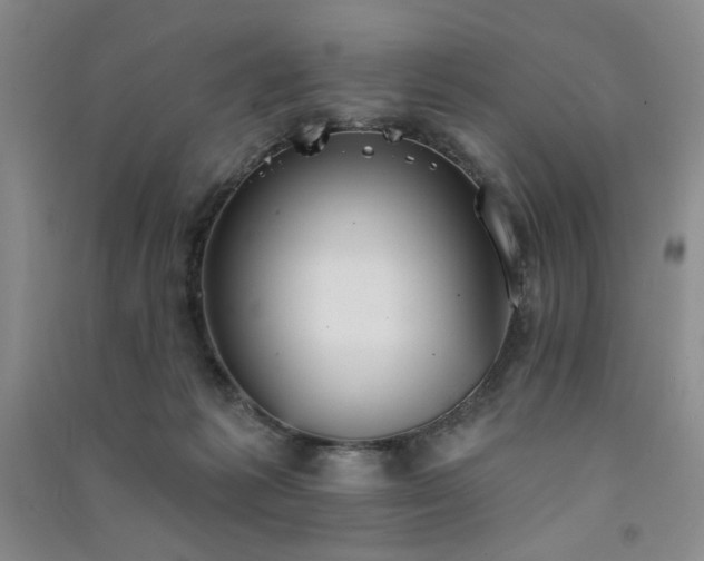 X0000091510221200708171202