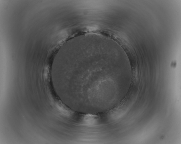X0000091510222200708171202