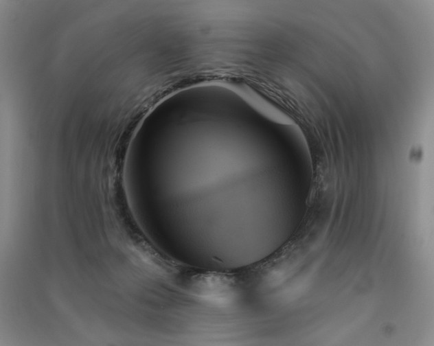 X0000091510223200708171202