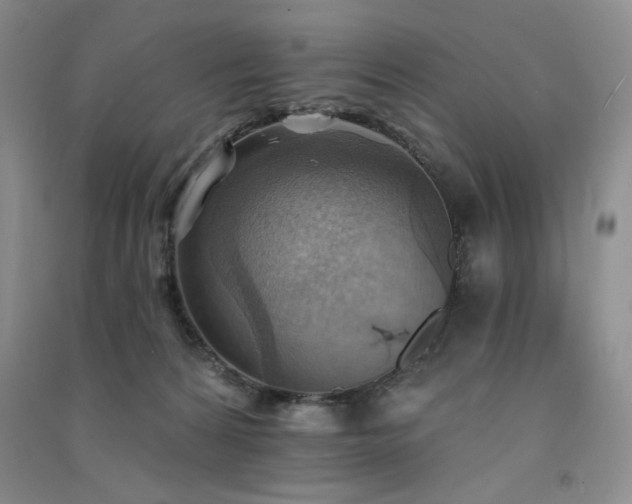 X0000091510224200708171202