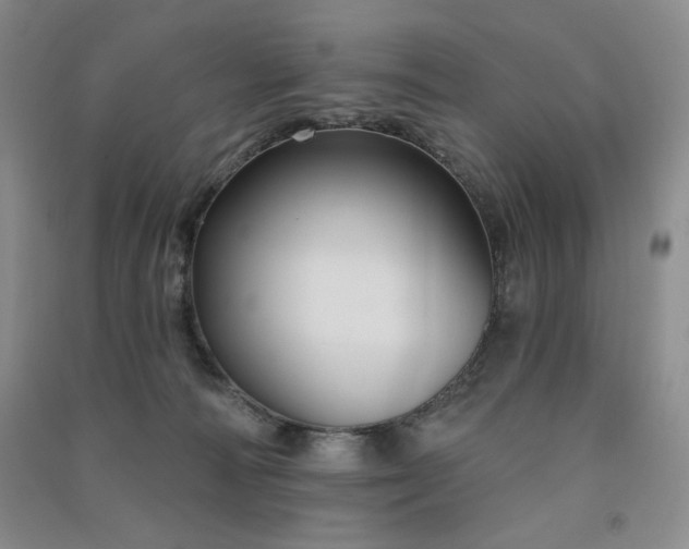 X0000091510226200708171202