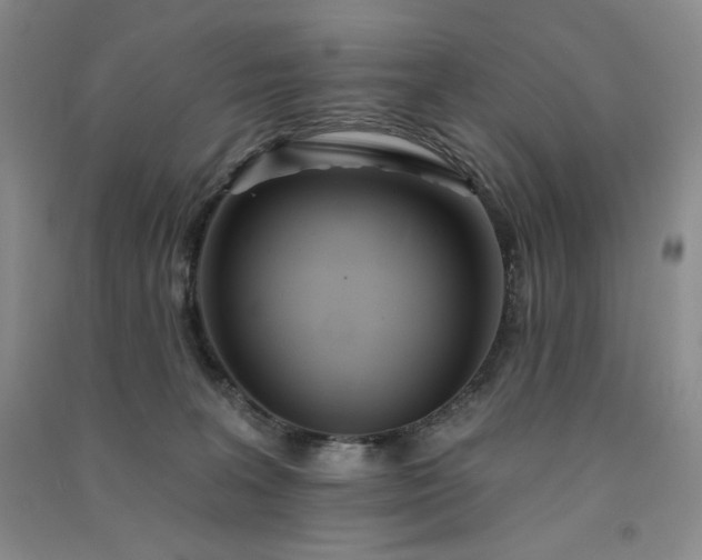 X0000091510227200708171202