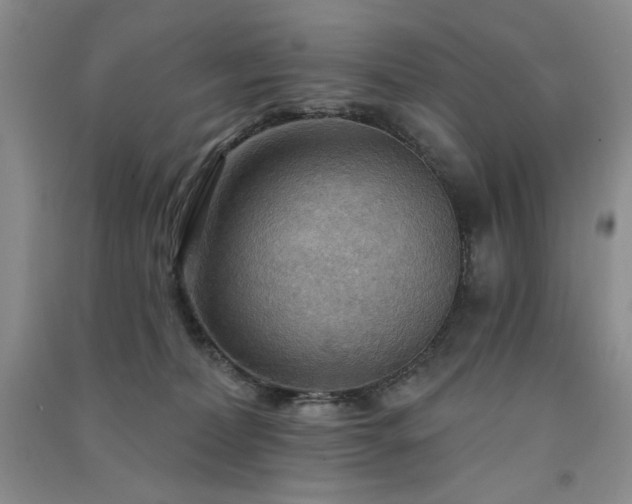 X0000091510228200708171202